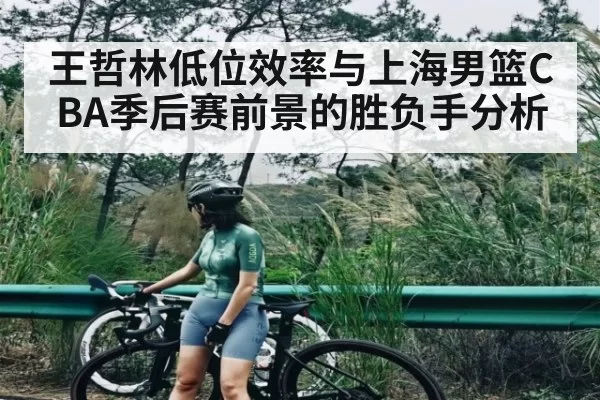 王哲林低位效率与上海男篮CBA季后赛前景的胜负手分析